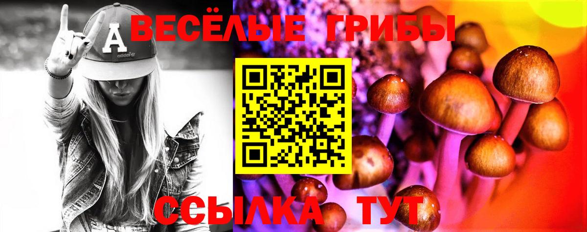 Псилоцибиновые грибы Cubensis Родники
